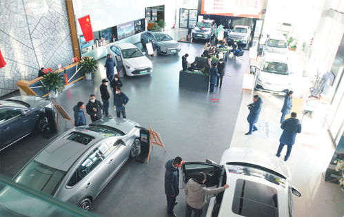 銷售情況比預(yù)期要好 聊城汽車銷售市場逐漸回暖 汽車裝飾用品銷售